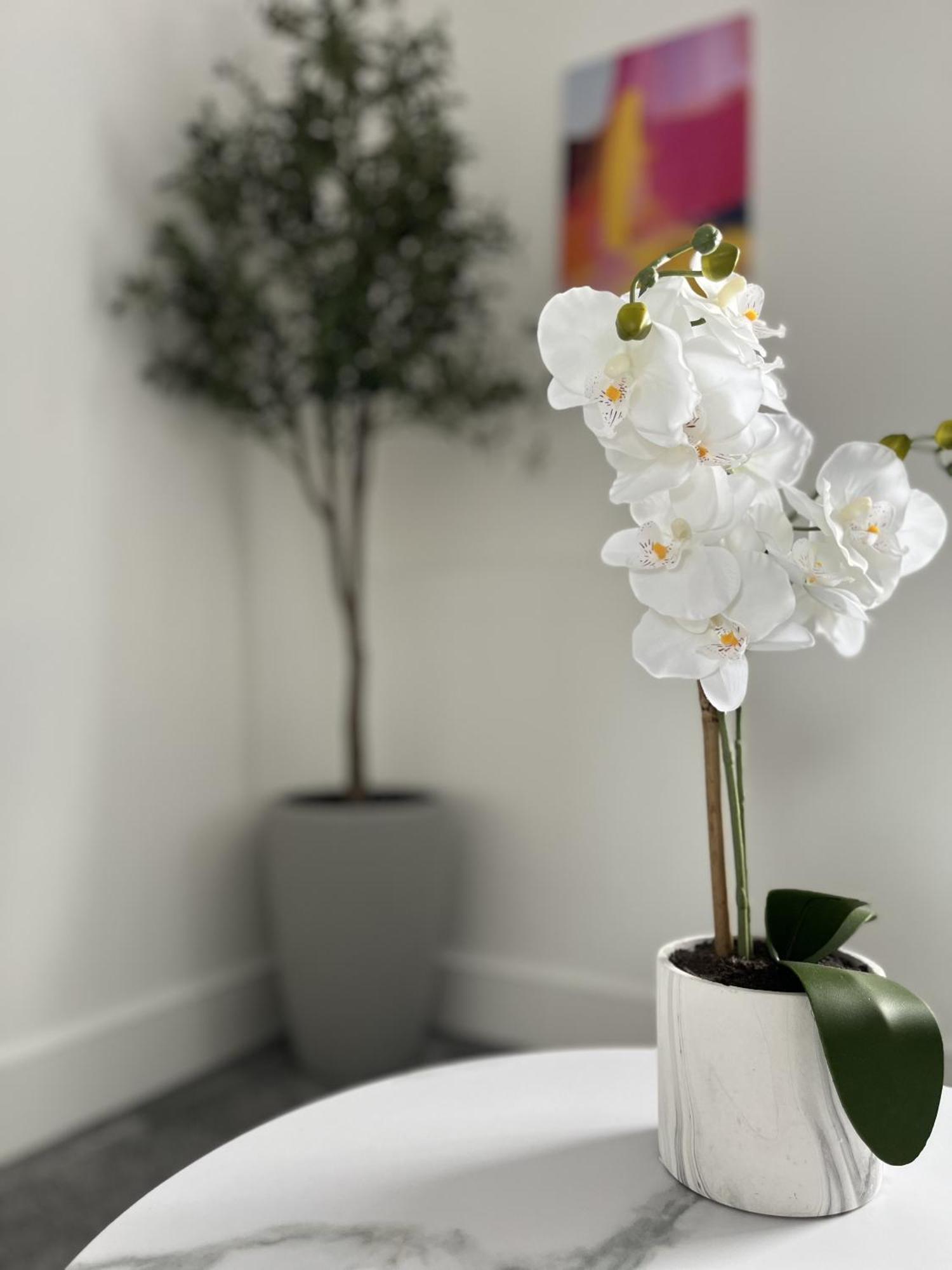 Luxury Norwich City Centre Apartment - Free Parking Экстерьер фото